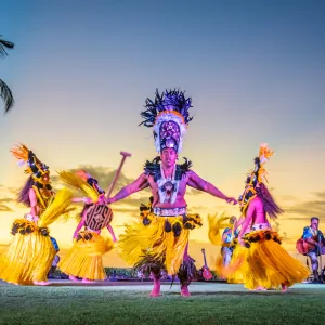 a group of colorful flowers