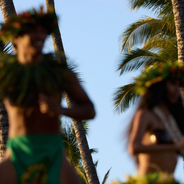 Blurred dancers in traditional Hawaiian attire with palm trees in background.